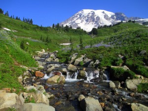 Mount Rainier ceiling photo